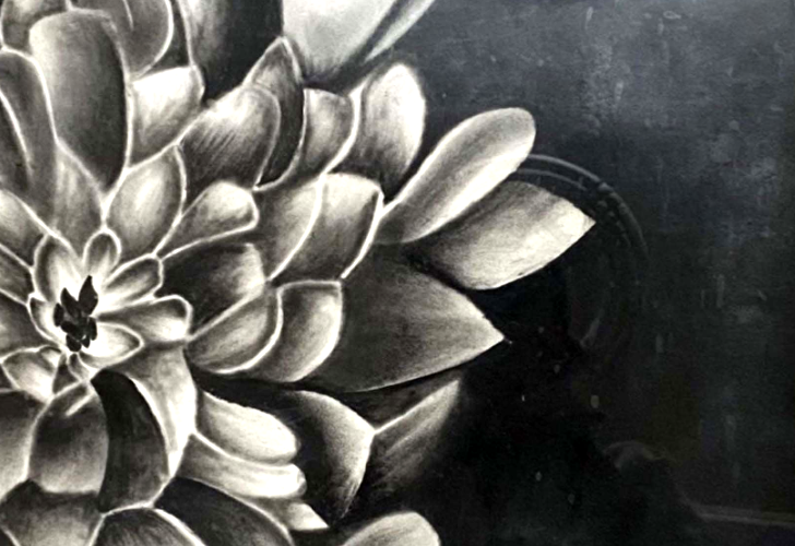 Gallery Prints